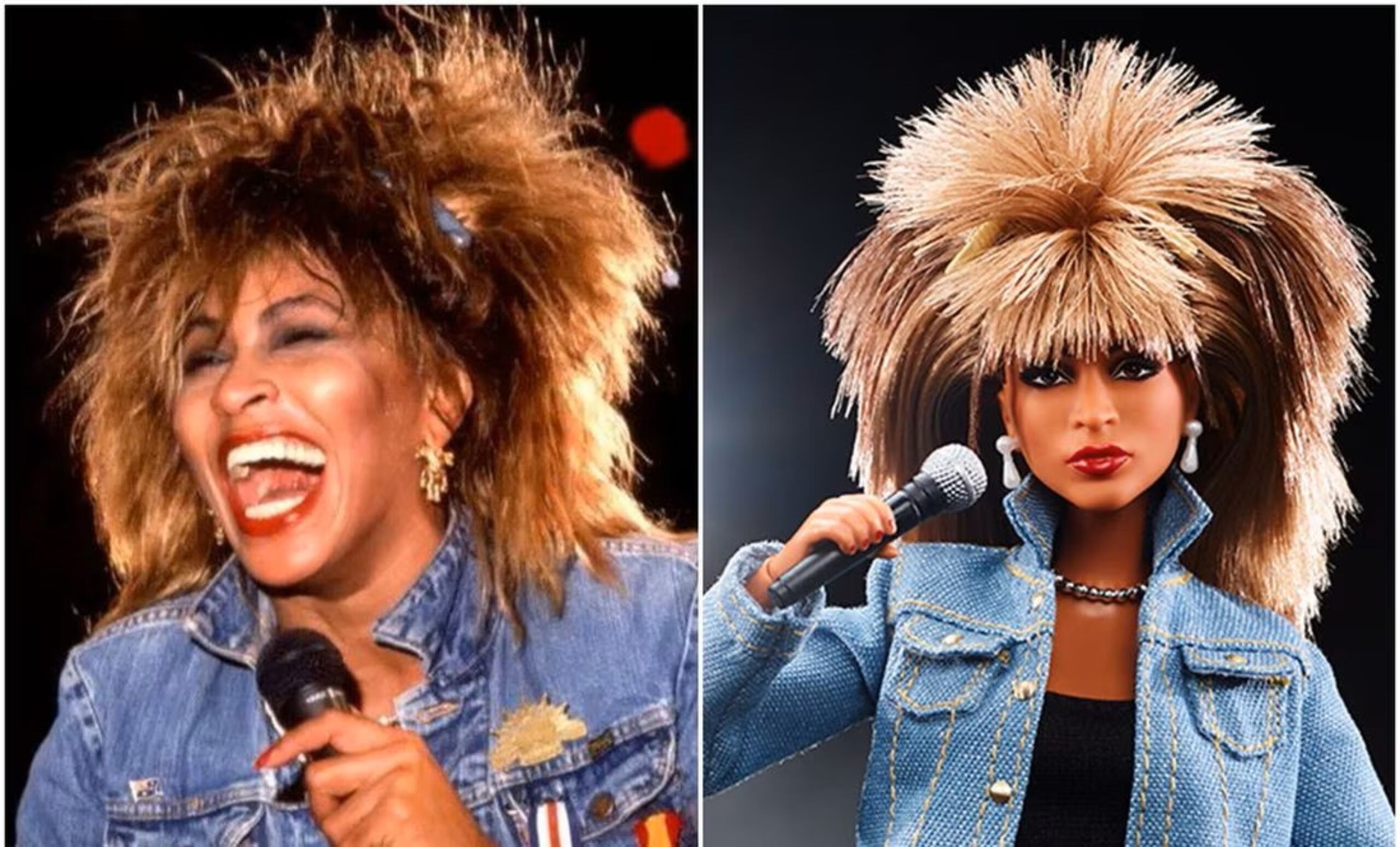 Tina Turner y su Barbie