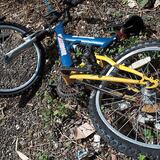 Fallece ciclista impactada por un auto en Cabo Rojo 