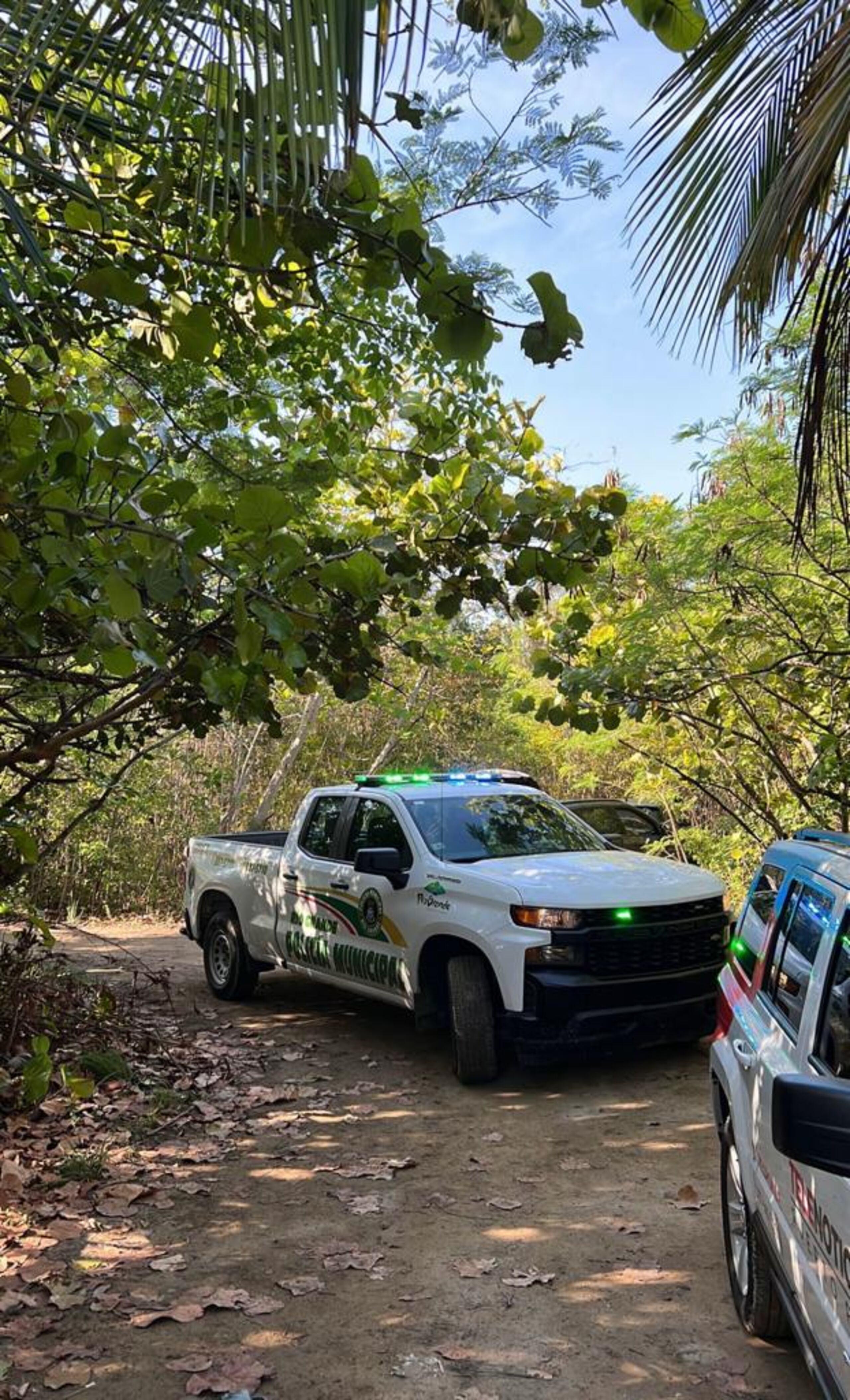 Rescatistas localizaron con vida al septuagenario que se encontraba buscando jueyes cuando se extravió en los predios de la playa Las Picúas, en Río Grande.