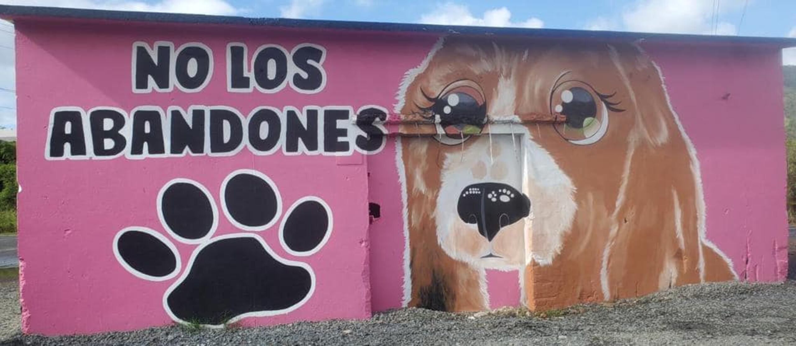 La estructura abandonada a la entrada del vertedero fue pintada con murales alusivos a la adopción de animales.