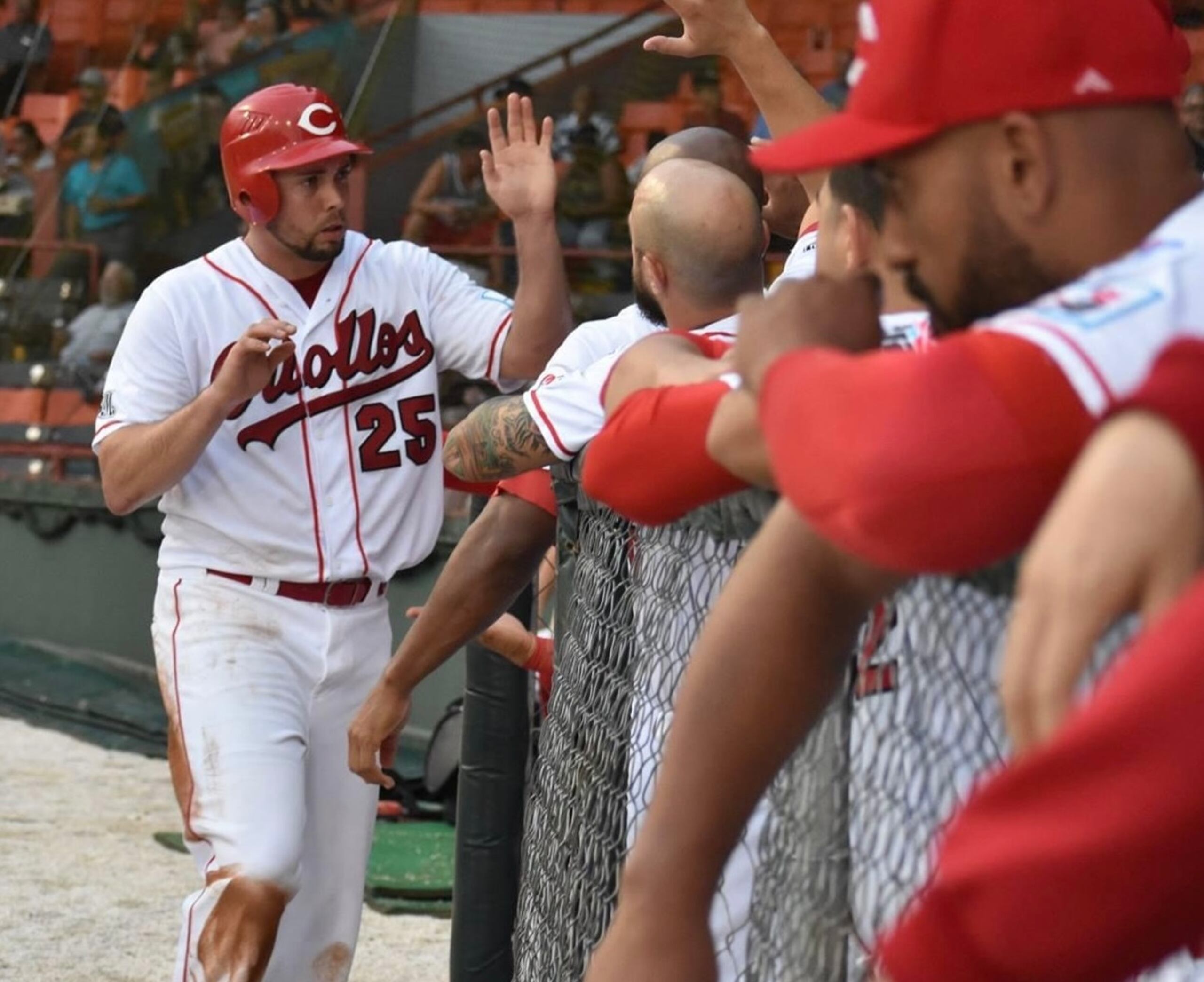 Kelly Dugan vistió la camisa de los Criollos hace siete años.