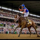 Ganador de Belmont Stakes, Mo Donegal, estará fuera por 60 días  