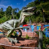 Van buscando los dinosaurios en Jayuya