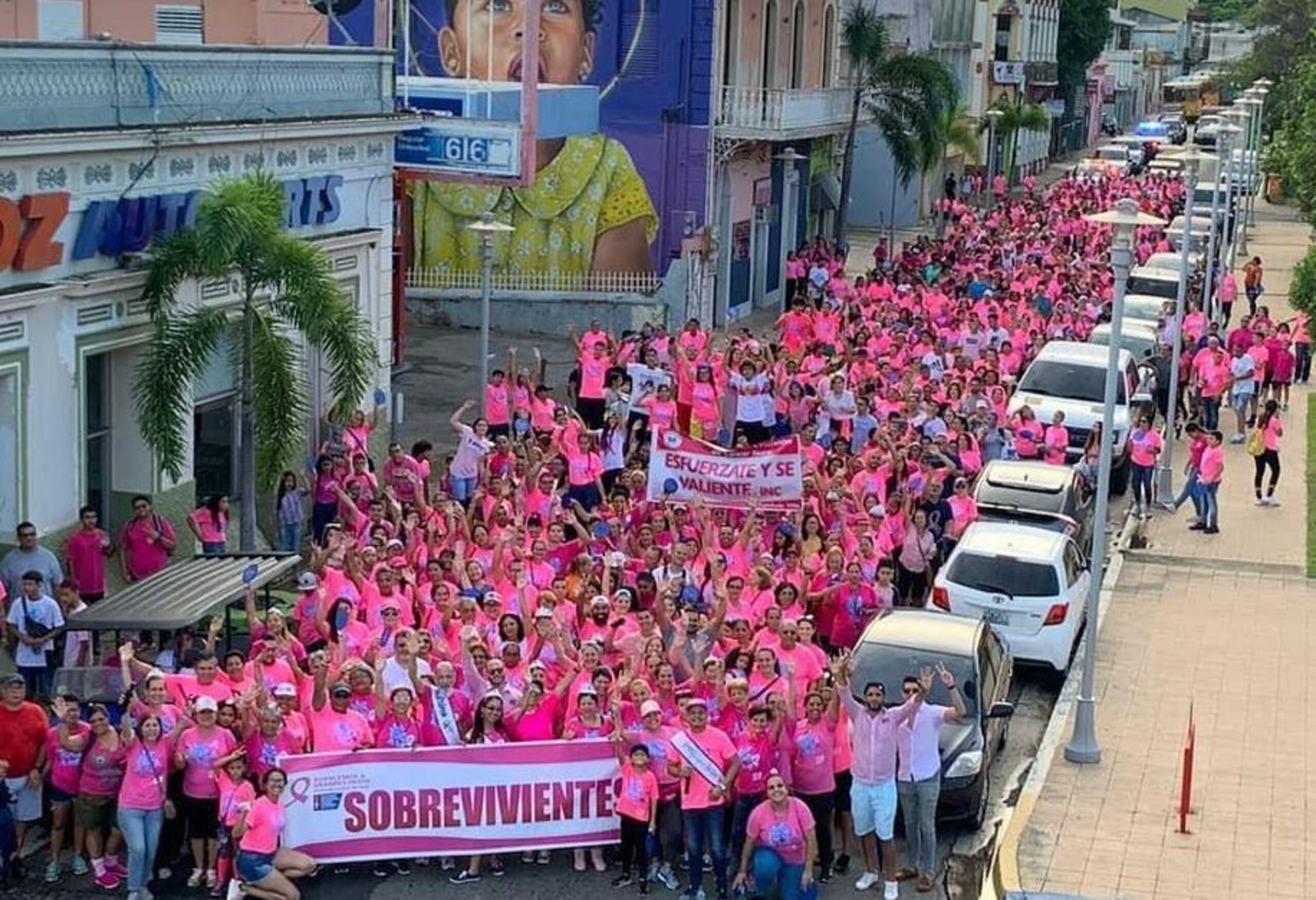 El grupo de voluntarios lleva más de 15 años recaudando fondos que son enviados a la Asociación Americana Contra el Cáncer de Puerto Rico (SACCPR).