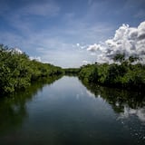 Encuentro cercano con la naturaleza