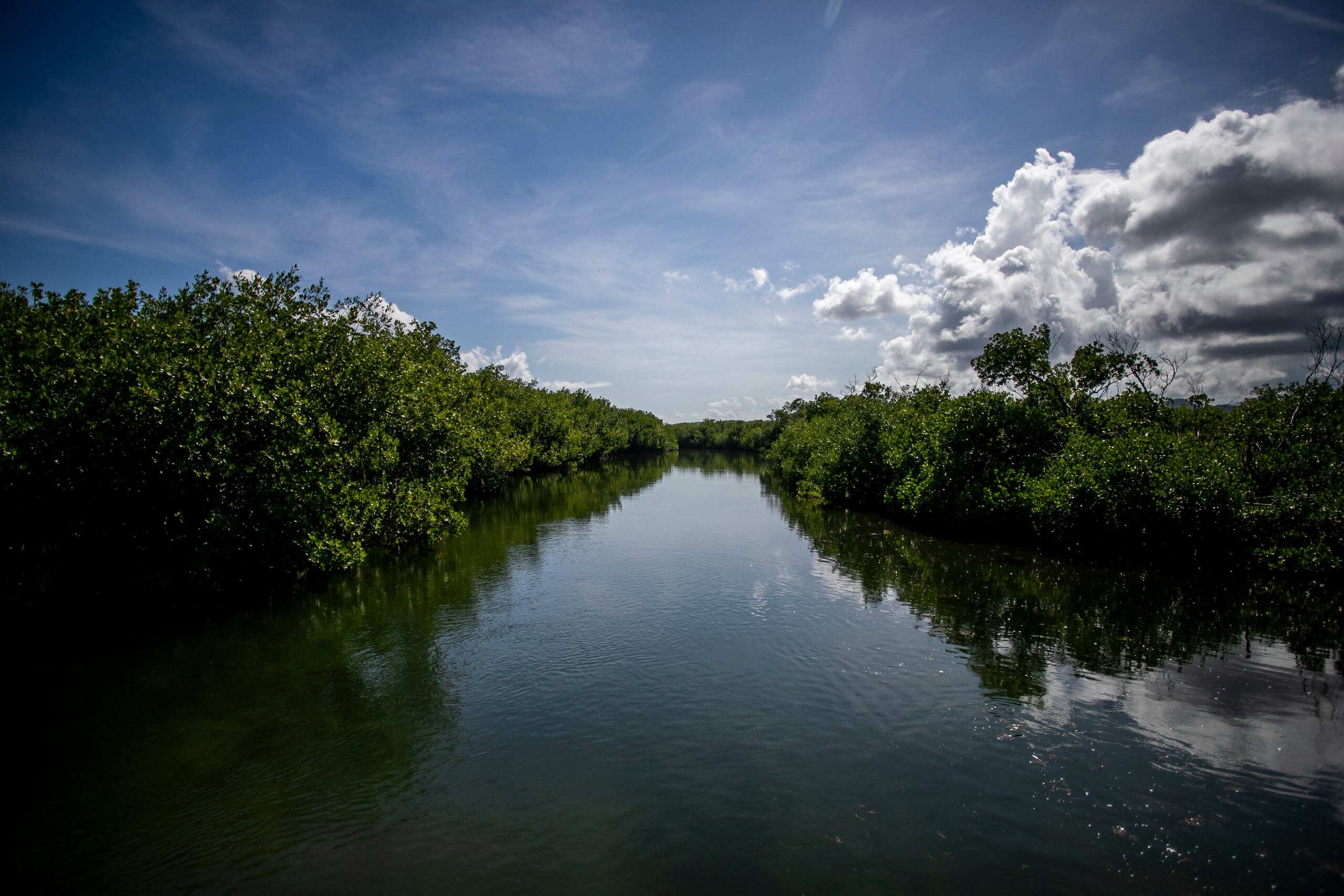 Para La Naturaleza protege 3,500 cuerdas de terreno del total de 8,910 que comprendía la base naval Roosevelt Roads.