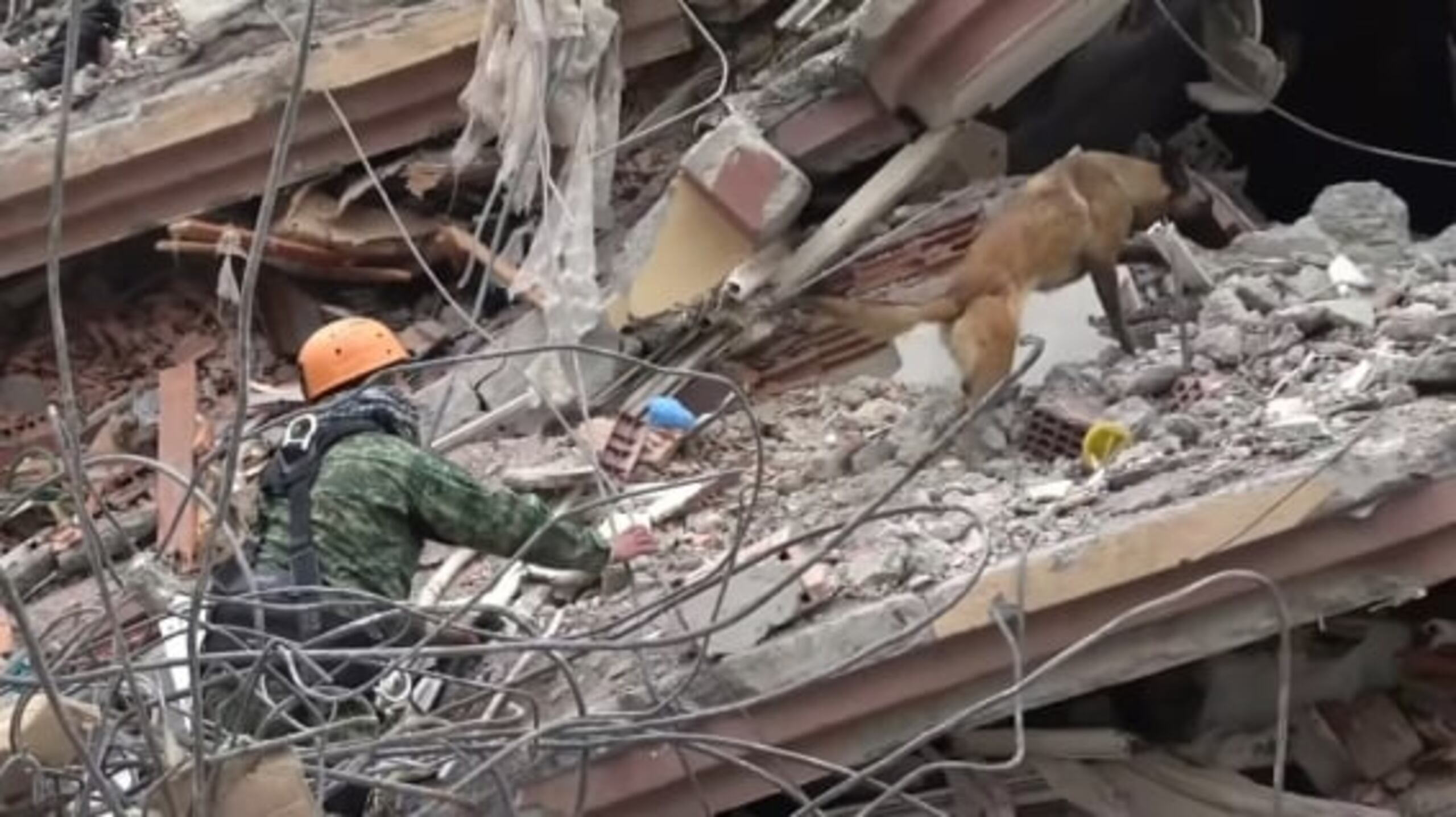 Además de los rescates, han apoyado en el recibimiento de tres toneladas de material diverso recibido en un centro de acopio.