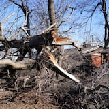 Madre y su hijo aparecen muertos tras tornado en Luisiana