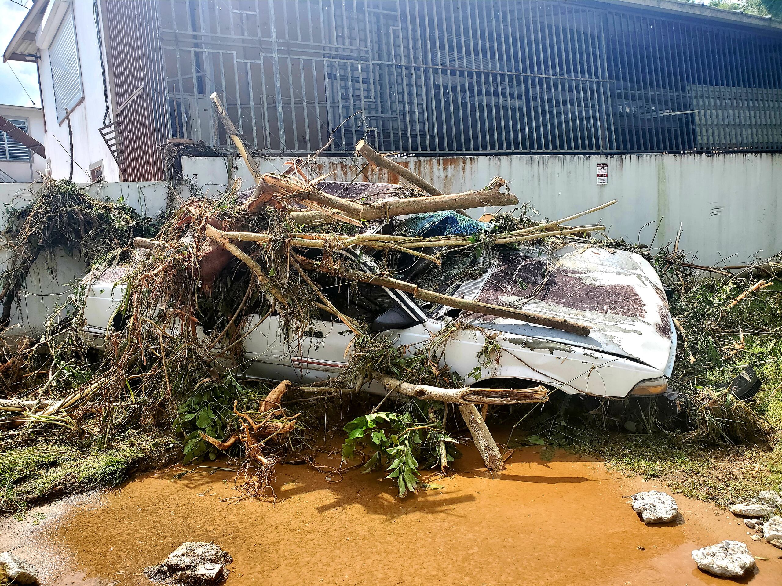 Varios vehículos que fueron arrastrados por las corrientes del Río Borinquen terminaron en la gomera.