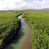 Daguao: tierra defendida por los indígenas