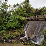 Asignan un millón de dólares en mejoras al acceso a El Yunque 