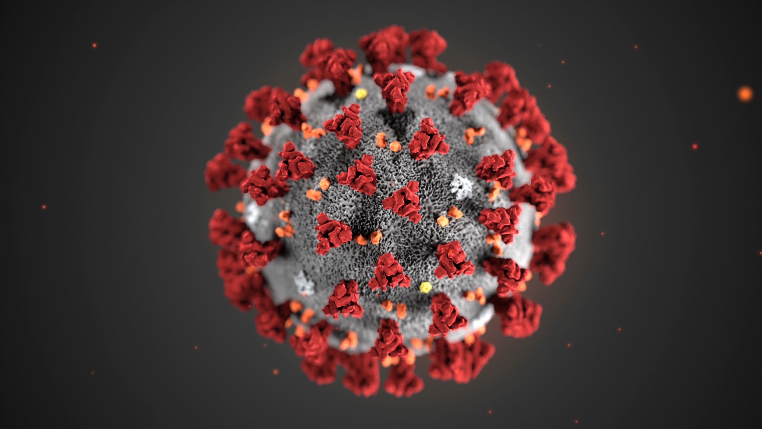 Los virus evolucionan naturalmente conforme se propagan entre la población, algunos más que otros.