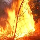 “El Niño” pone en alerta a Colombia y aumenta el riesgo de incendios forestales 