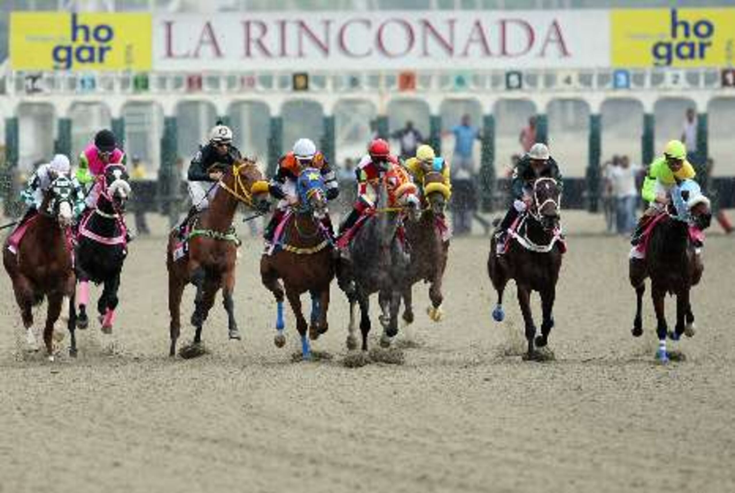 Los ejemplares venezolanos sacaron provecho a  la ventaja de local en el hipódromo La Rinconada de Caracas para alzarse con triunfos en los tres eventos sabatinos de la Serie Hípica del Caribe.&nbsp;<font color="yellow">(Enviado especial / Juan Luis Martínez)</font>