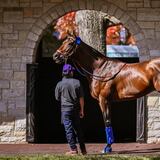 Flightline tuvo una extraña lesión antes de convertise en el monstruo del Breeders’ Cup