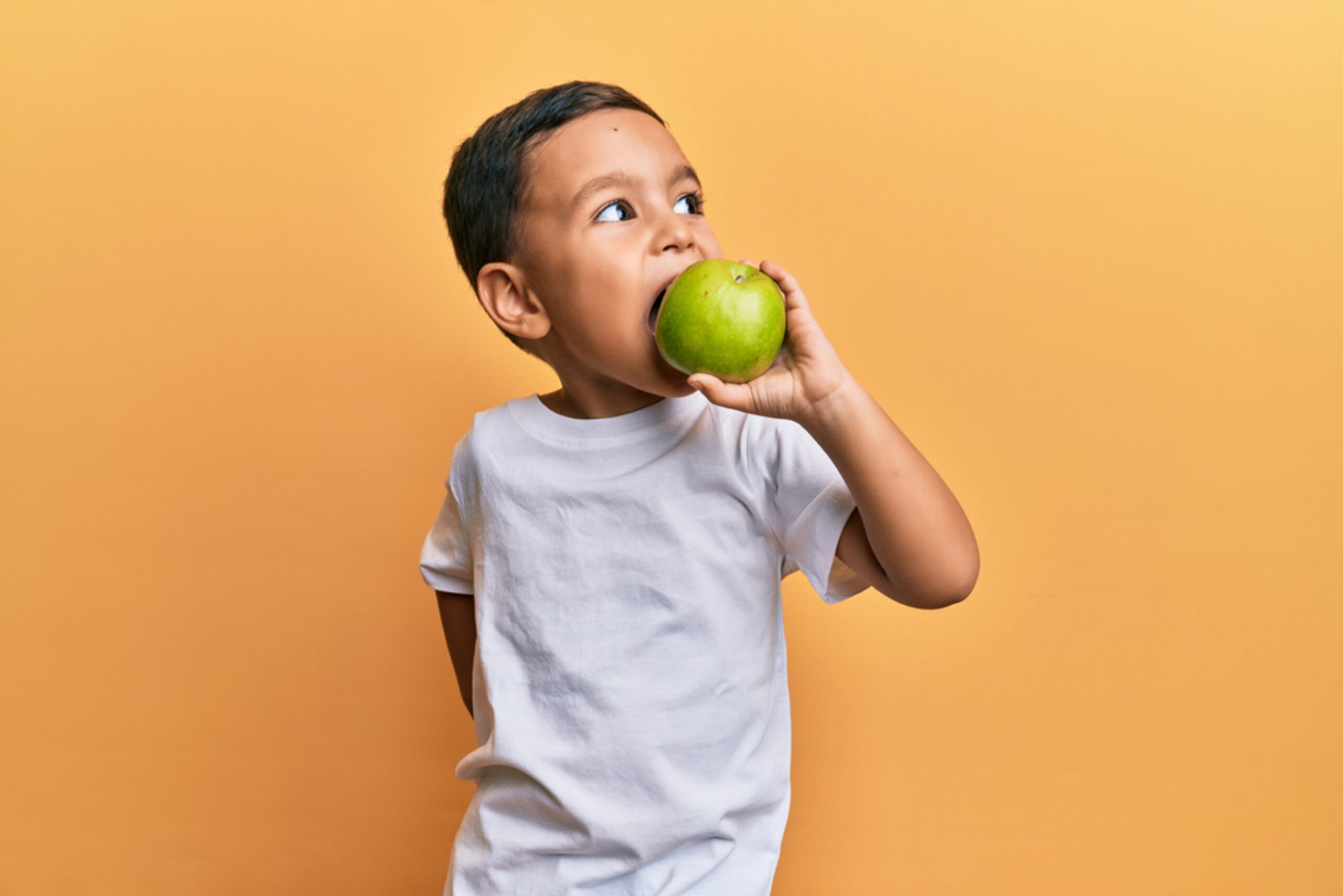 Co esta campaña se mantiene el programa "La Mochila Alegre" del Banco de Alimentos, que durante todo el año provee comidas nutritivas, para los fines de semanas y vacaciones escolares, a niños entre 3 y 12 años que provienen de familias de escasos recursos y sufren de inseguridad alimentaria.