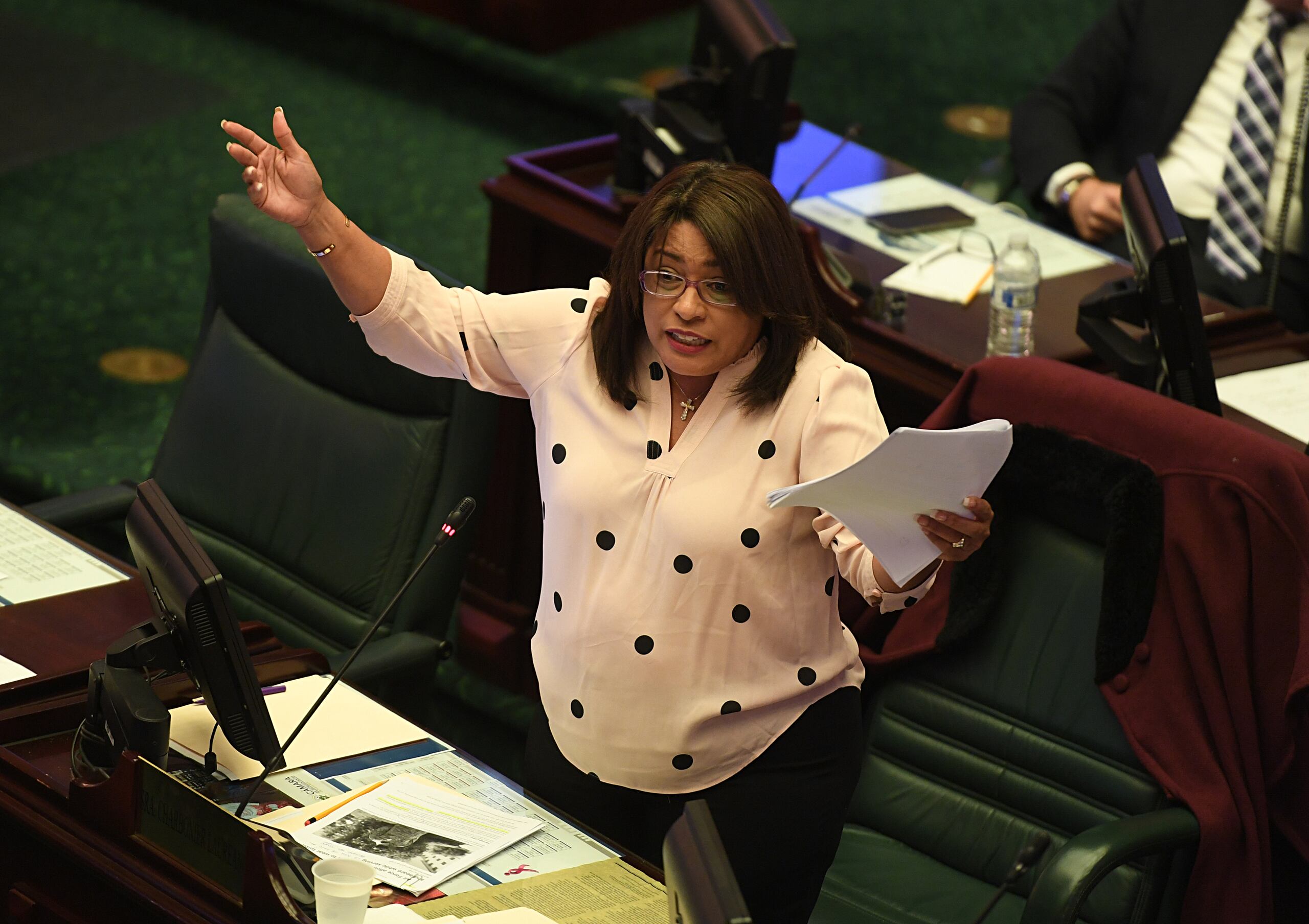 La representante María Milagros Charbonier durante una sesión en la Cámara de Representantes.