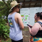 Momento para redescubrir los encantos de El Yunque