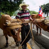 Don Miguel: orgulloso de ser “un jíbaro terminao”