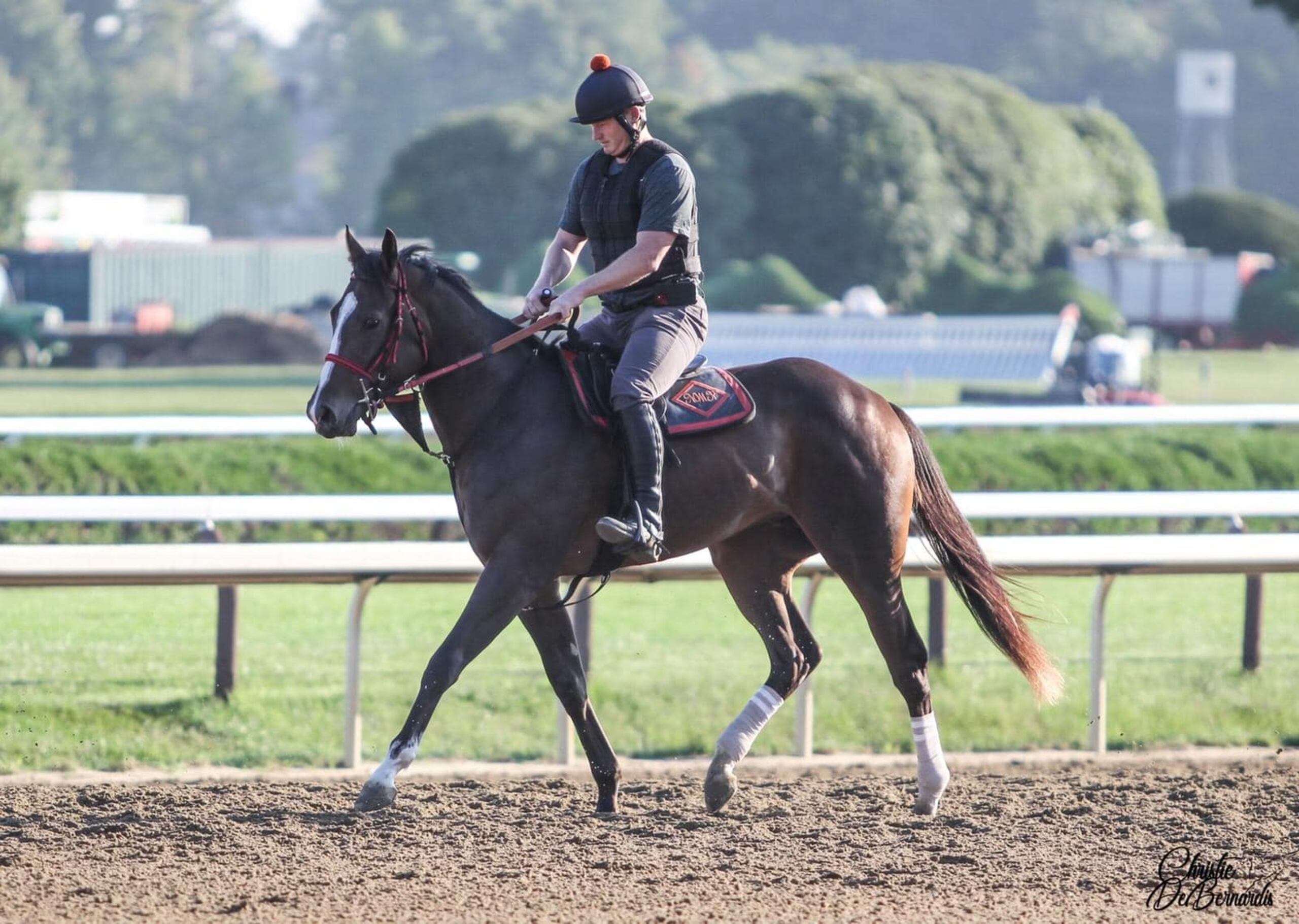 Este es el ejemplar Closethegame Sugar, en un trabajo para su debut de este miércoles en Saratoga.