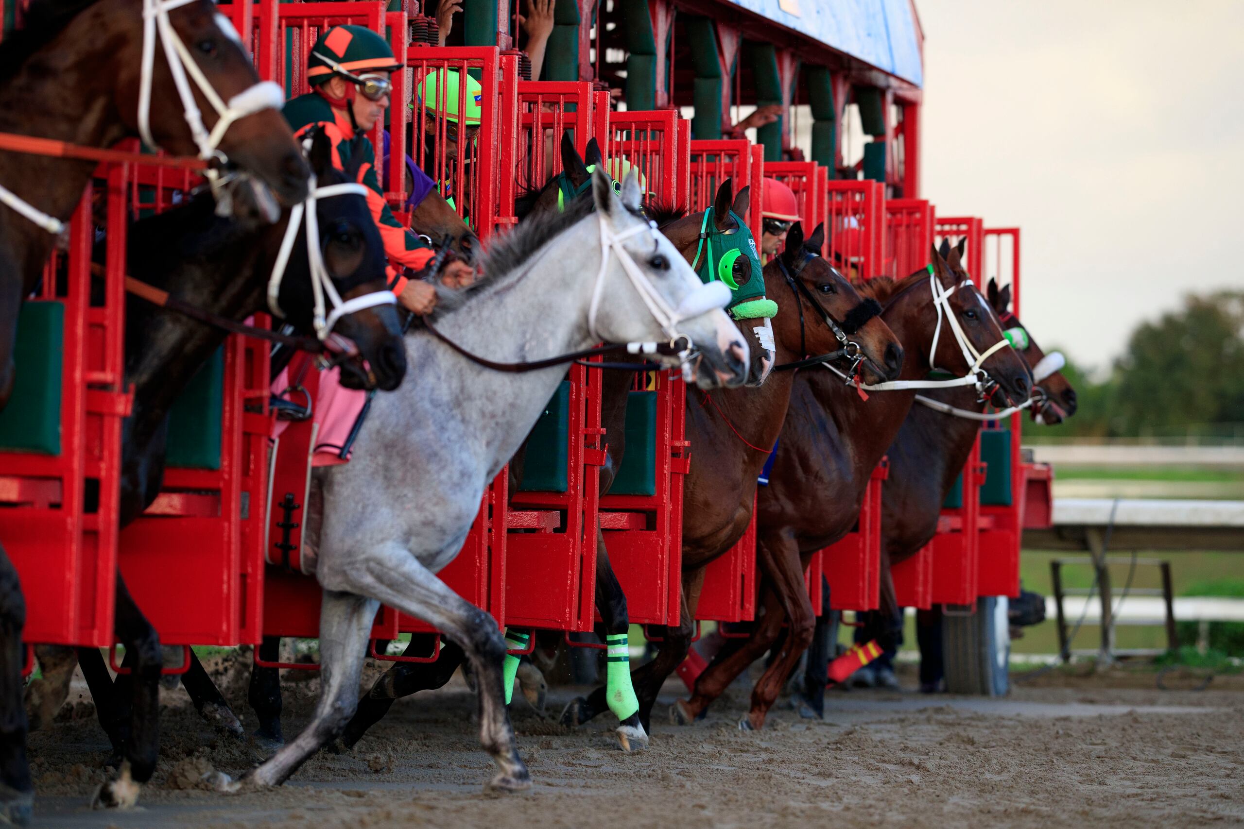 El viernes inicia la semana de carrera en el hipódromo Camarero.