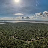 La deforestación en la Amazonía brasileña se redujo un 67.9% en abril