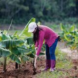 Agroempresarias de Puerto Rico promoverá la autogestión femenina en su Primer Mercado Agrícola