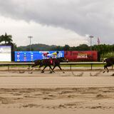 EN VIVO: La Copa Primera Hora desde el Hipódromo Camarero