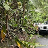 Reportan desalojos en El Yunque por inundaciones repentinas