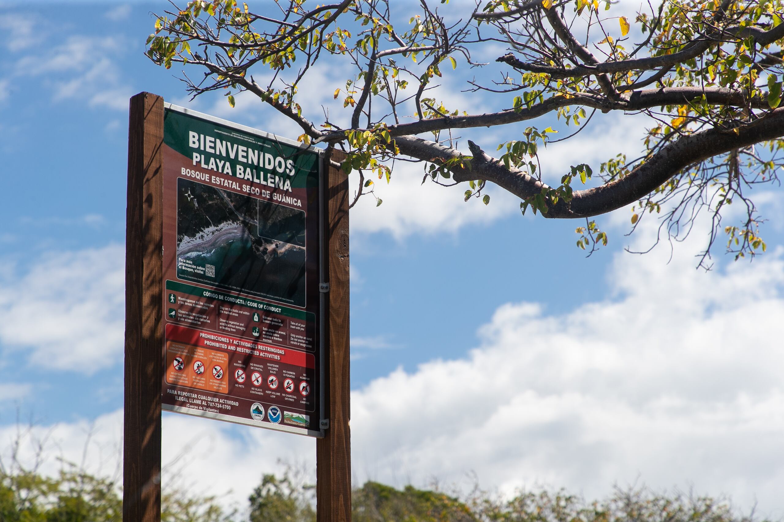 En 1981, el Bosque Seco fue declarado como Reserva de la Biosfera de las Naciones Unidas.