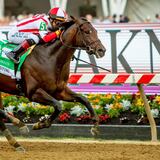 Fue grandioso el fin de semana de los jinetes boricuas en Pimlico