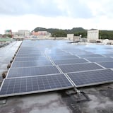 DACO resuelve 286 querellas relacionadas a placas solares