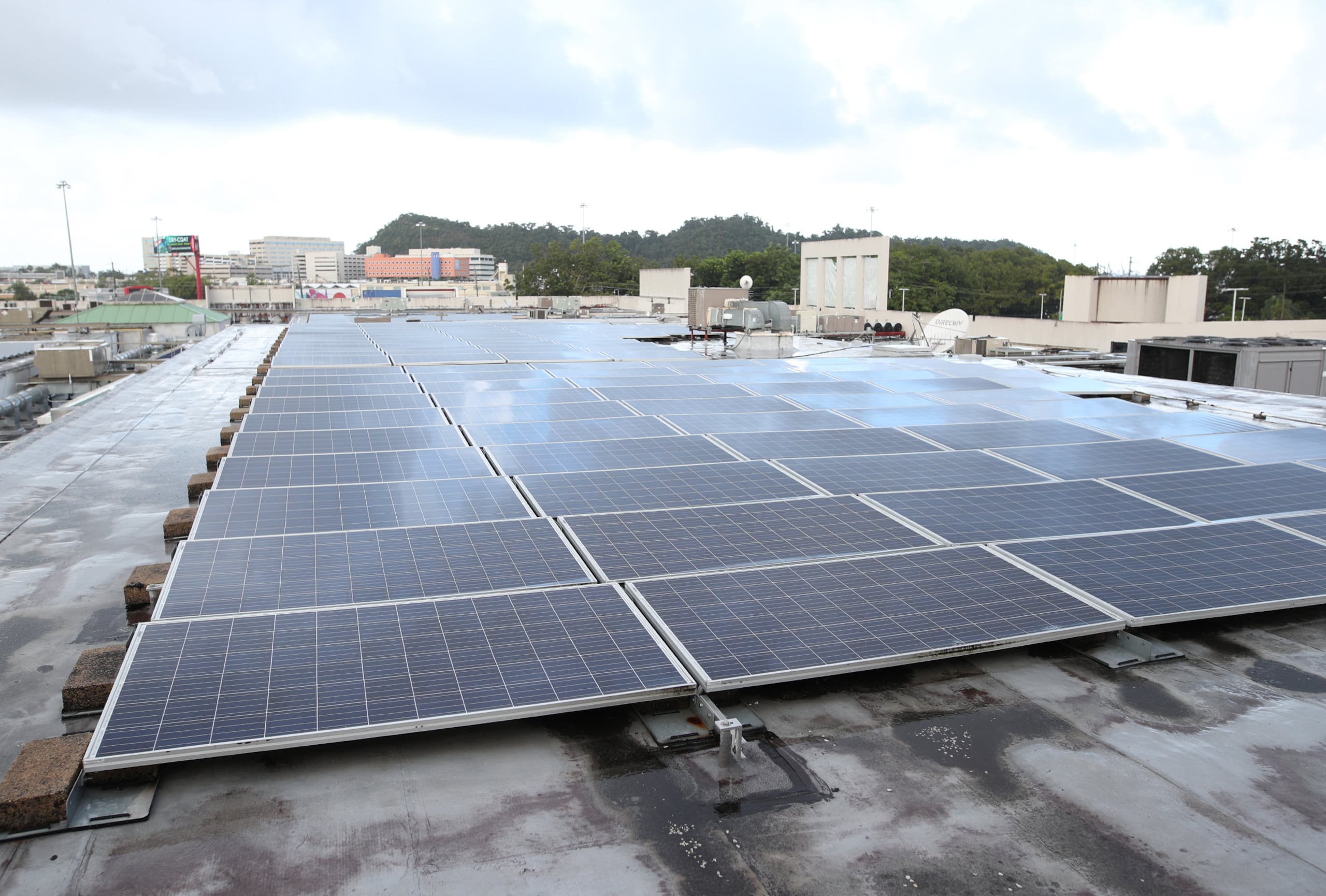 DACO estima que en la Isla todos los meses se instalan unos 4,000 sistemas de energía solar.