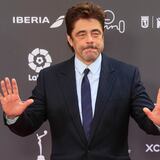 Benicio del Toro sobre Hollywood: “Las historias no están diseñadas para las minorías”