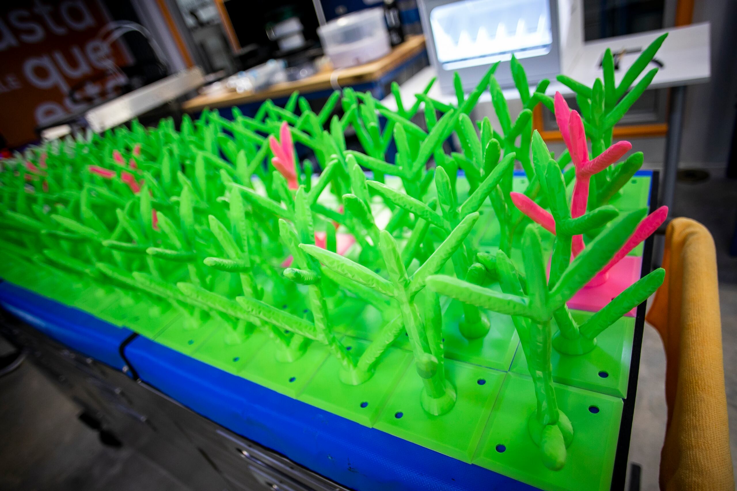 Engine-4 está manejando un proyecto clave en el que usa la tecnología como herramienta para ayudar al medio ambiente. Se trata de Reef3D, un esfuerzo de creación de corales con impresoras 3D para insertarlos en el fondo marino, específicamente en la isla municipio de Culebra. 