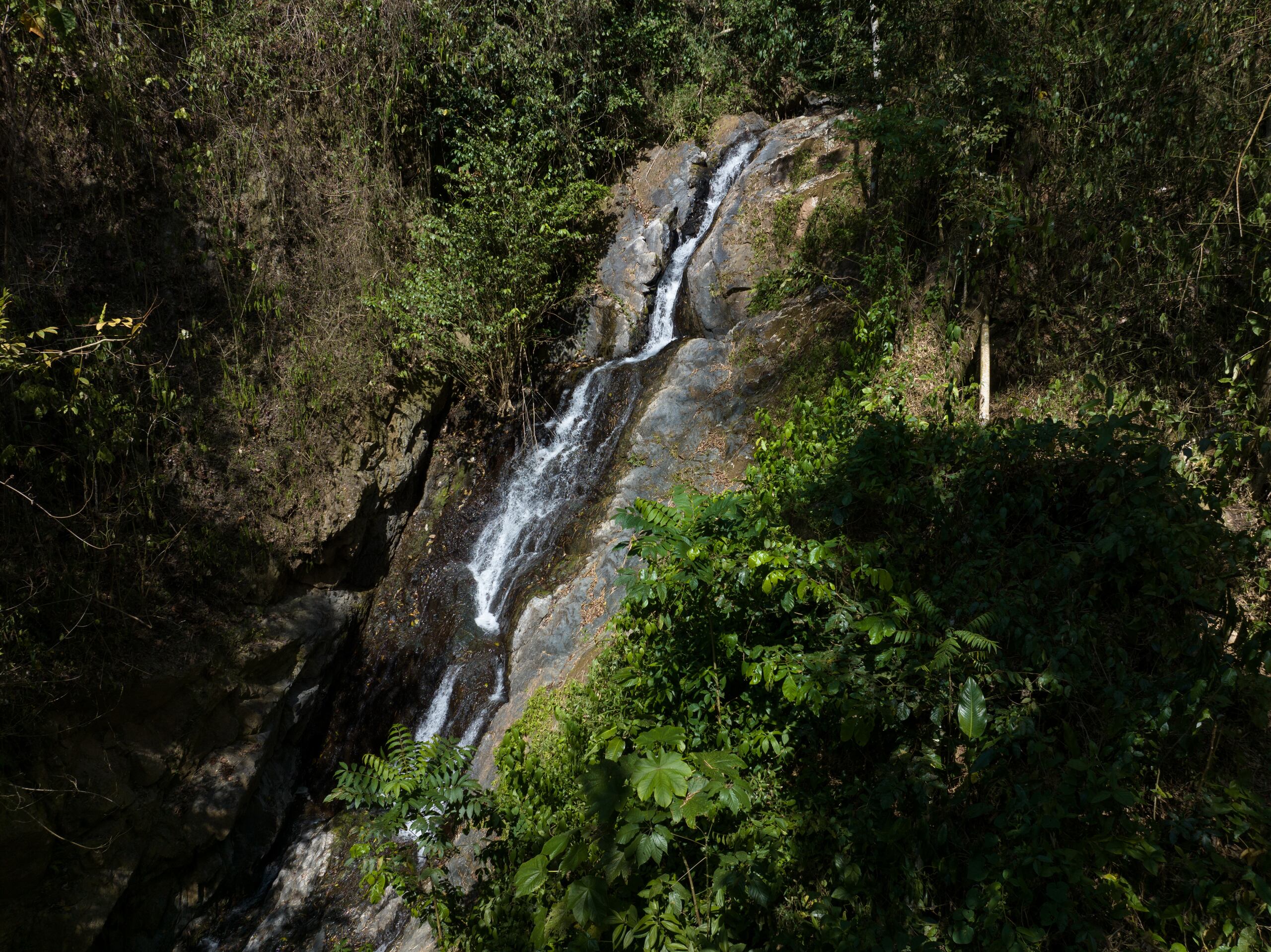 El lugar cuenta con la llamada cascada Pandora. 