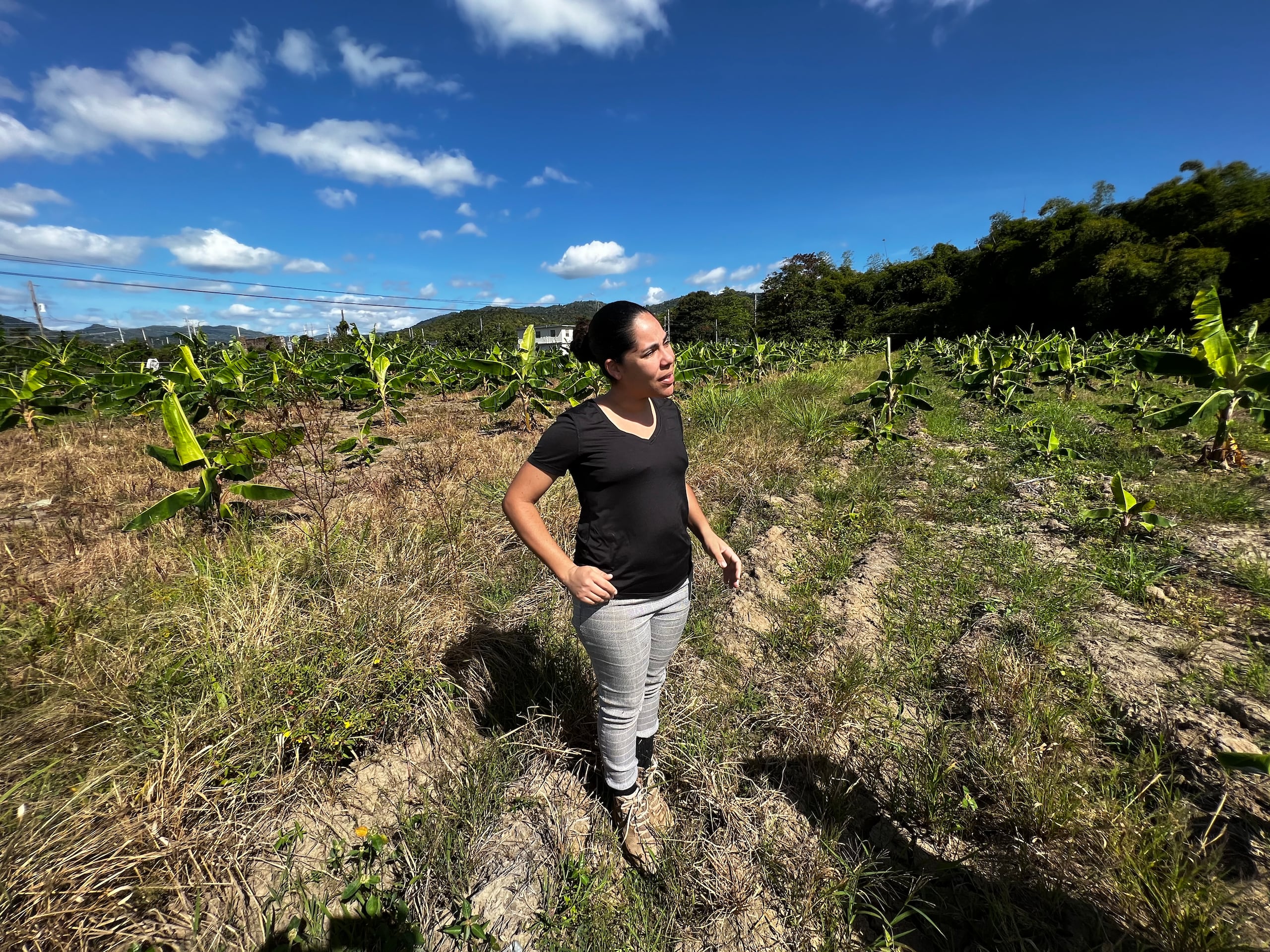 “Ser agricultora en un mundo de hombres es complicado, pero el ver más mujeres frecuentemente dentro de este campo y que nos podamos apoyar, ya sea con información o con intercambio de productos, nos ayuda mucho".