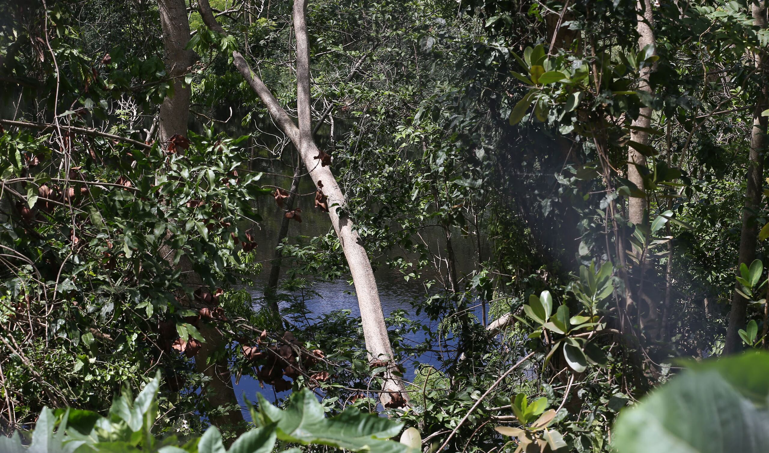 Lago de lixiviados adyacente al vertedero de Toa Alta.