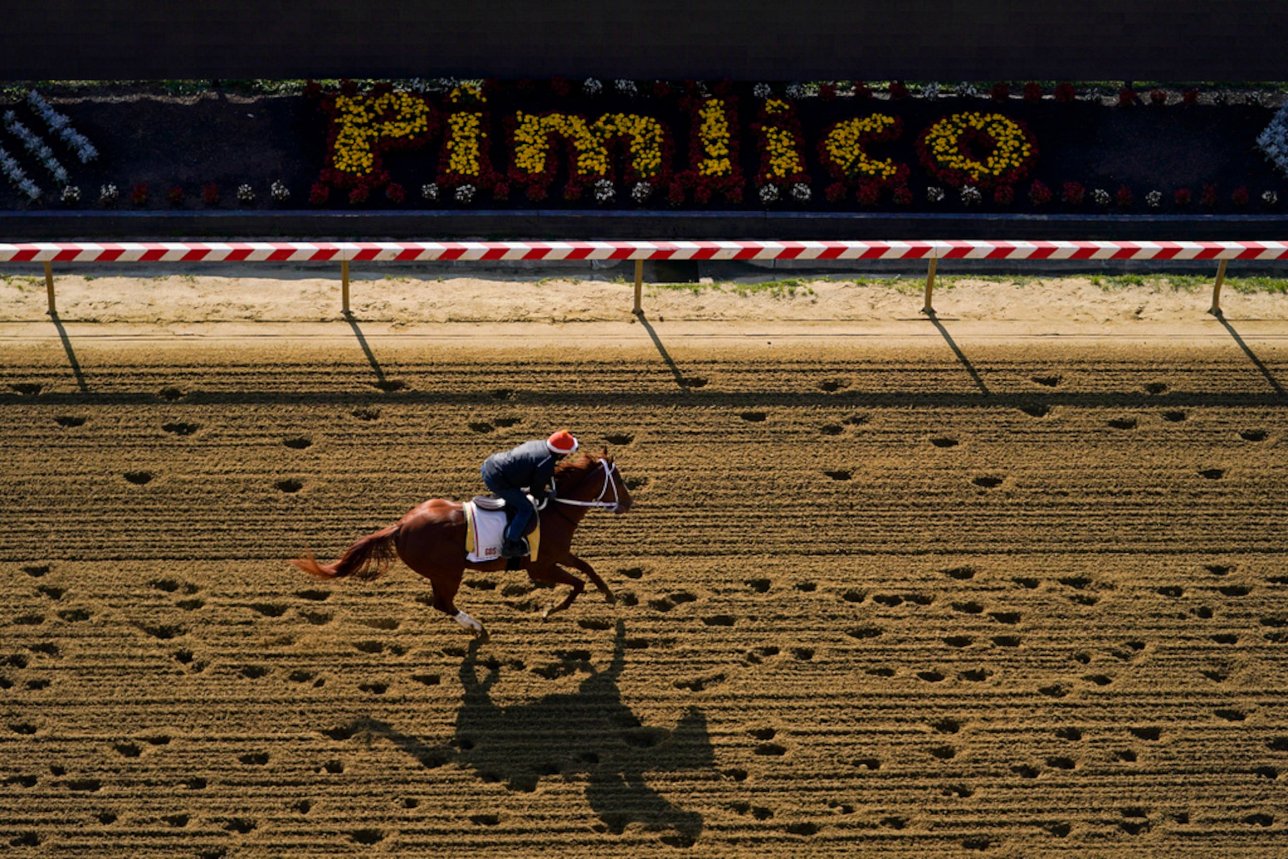 El ganador del Derby de Kentucky, Mage, entrena de cara a la 148va edición del Preakness Stakes en el Hipódromo Pimlico.