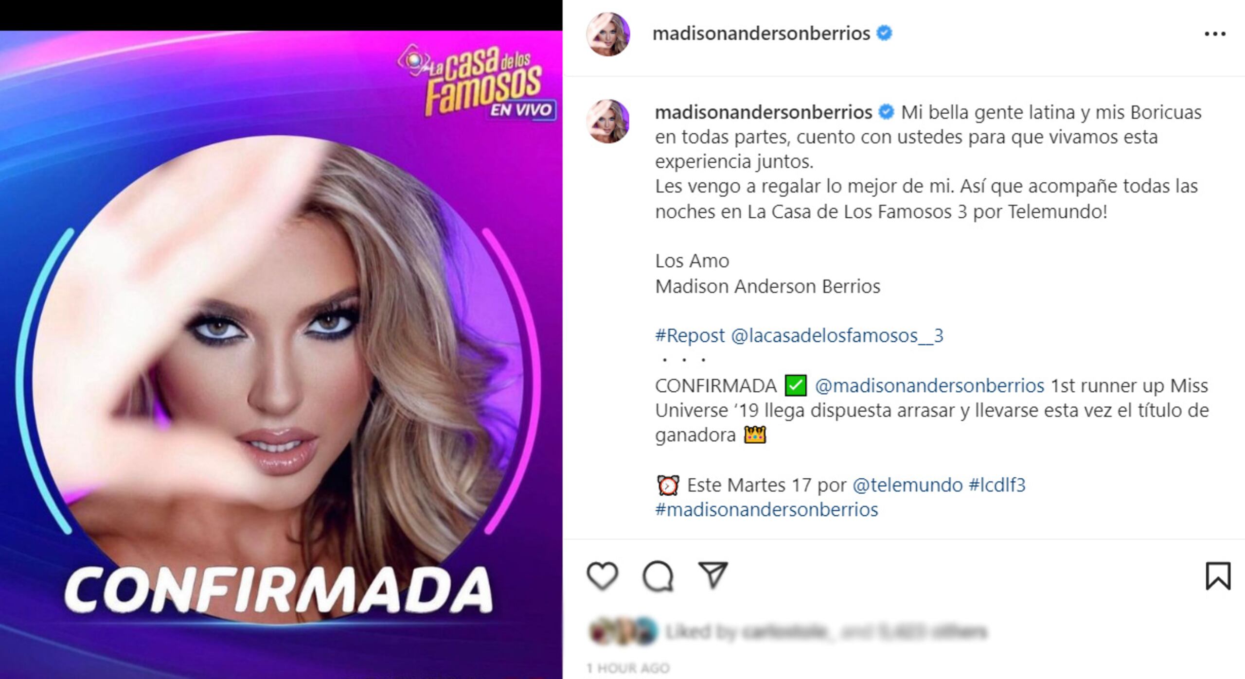 Madison Anderson, La casa de los famosos