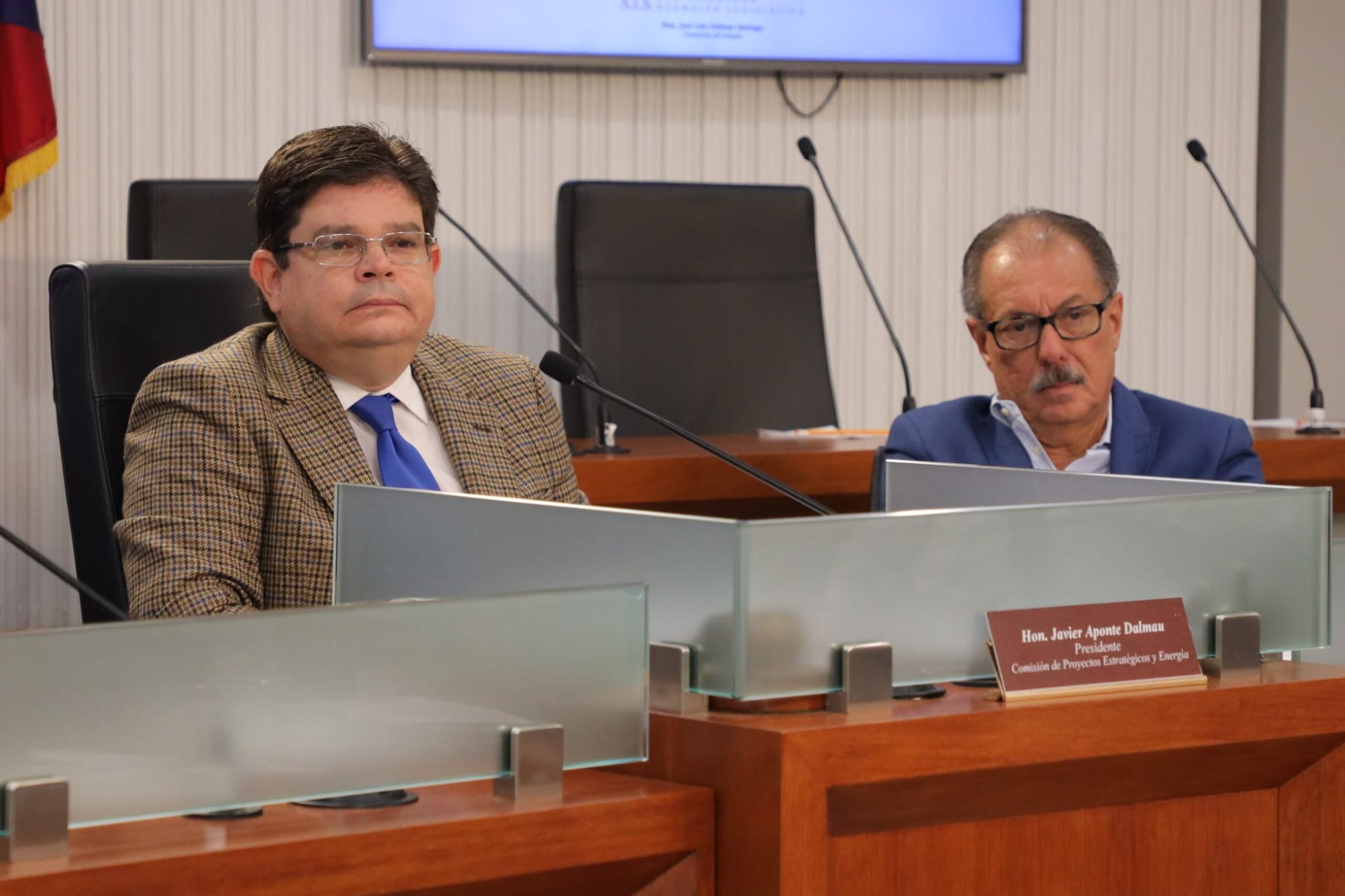 Los senadores del Partido Popular Democrático Javier Aponte Dalmau y Juan Zaragoza cuestionaron la fiscalización, alcance del contrato y el futuro de los empleados de la AEE tras la privatización de la red generatriz.