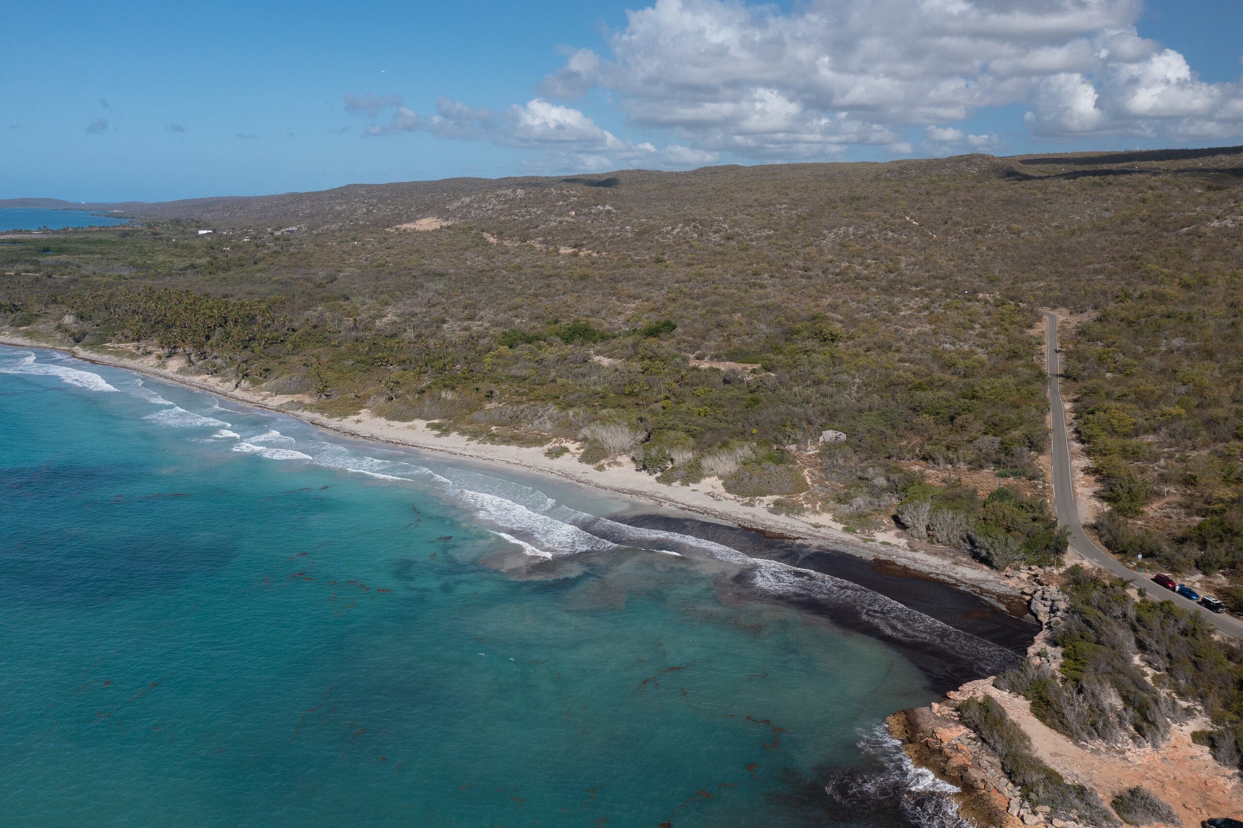 El biólogo Miguel Canals Mora, quien por muchos años era el encargado de esta reserva natural, emplazó al Departamento de Recursos Naturales y Ambientales a no permitir ningún desarrollo en las dos parcelas que permanecen en manos privadas y que recientemente fueron adquiridas por un puertorriqueño residente en la Florida y un amigo de éste, natural de la India.