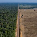 Deforestación en la Amazonia brasileña alcanza nivel récord en mayo