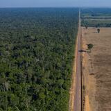 Deforestación en Amazonia brasileña rompe récords para abril