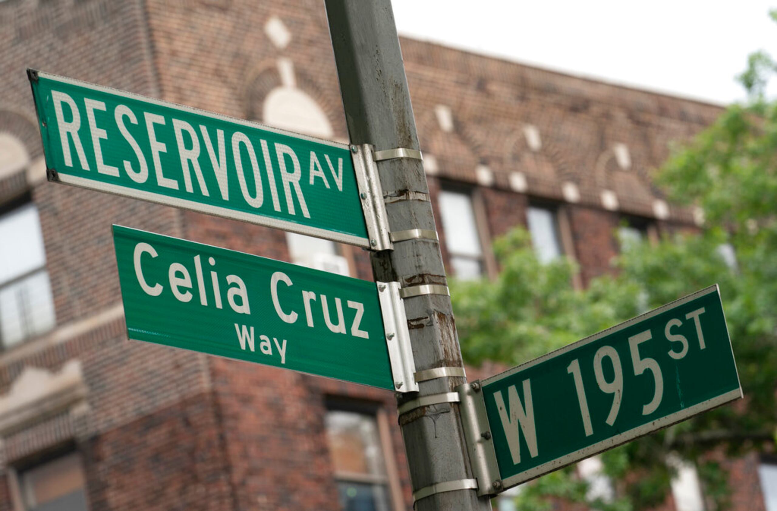 Políticos locales y amigos de la difunta Reina de la Salsa participaron en una ceremonia de conombramiento de una calle del condado de El Bronx en honor a la cantante cubana. 