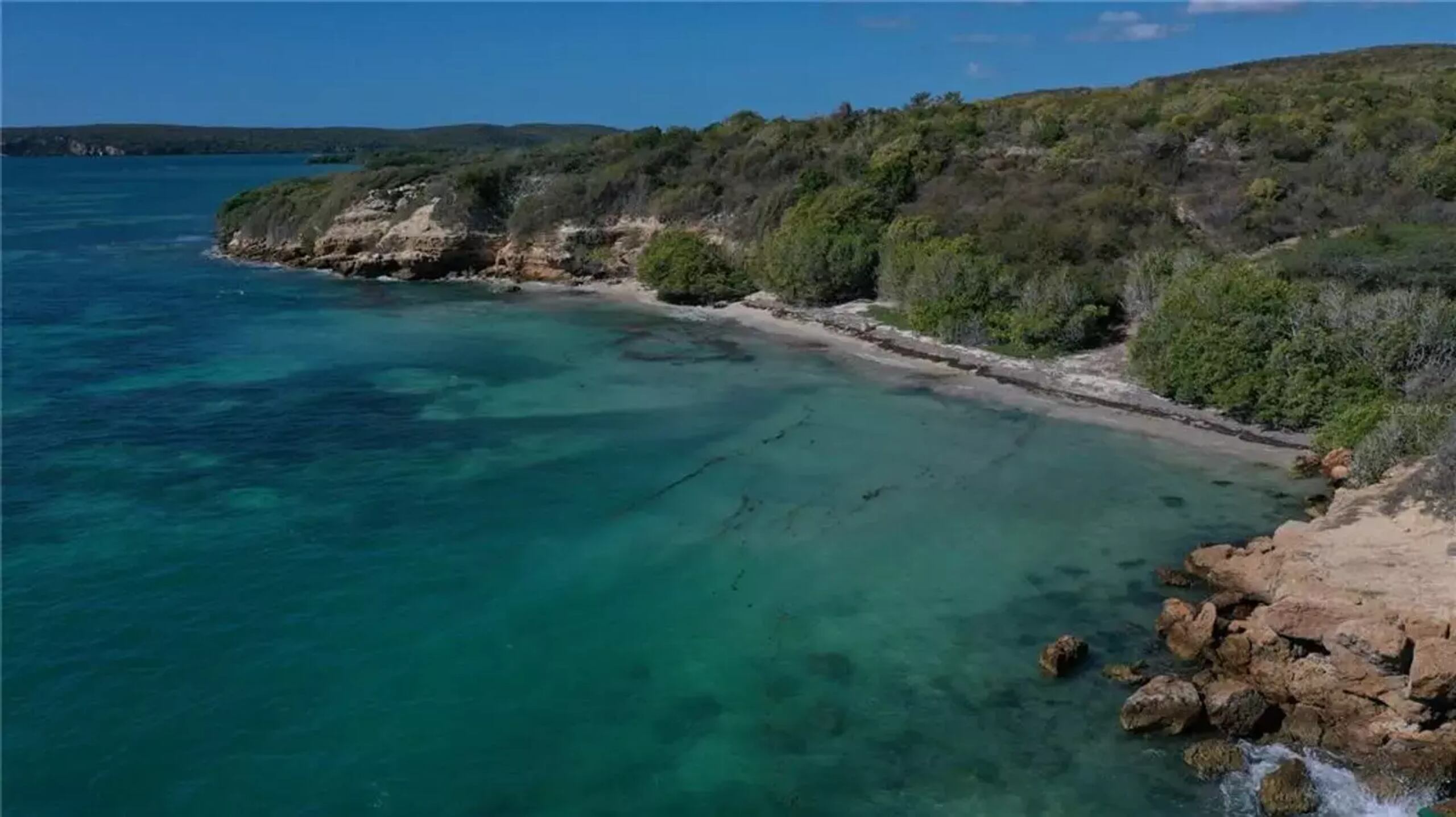 Imagen de las tierras en venta en la zona del Bosque Seco, Guánica. (Captura)