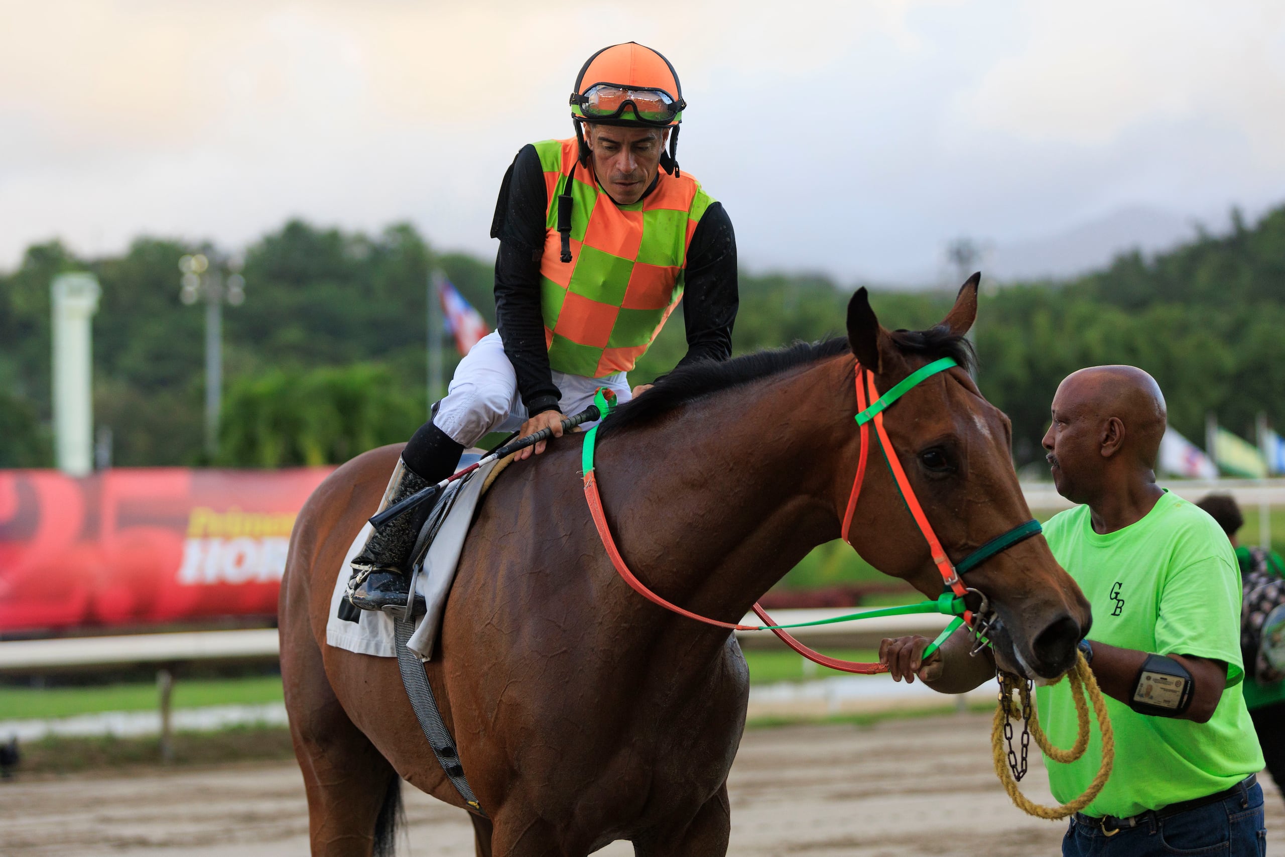 Don Cheo regresó a la competencia este domingo y ganó debutando como tresañero.