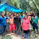 Piloto sobrevivió 36 días perdido en la selva amazónica con la ayuda de monos 