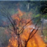 Las olas de calor e incendios marcaron el cambio climático en América Latina en 2022