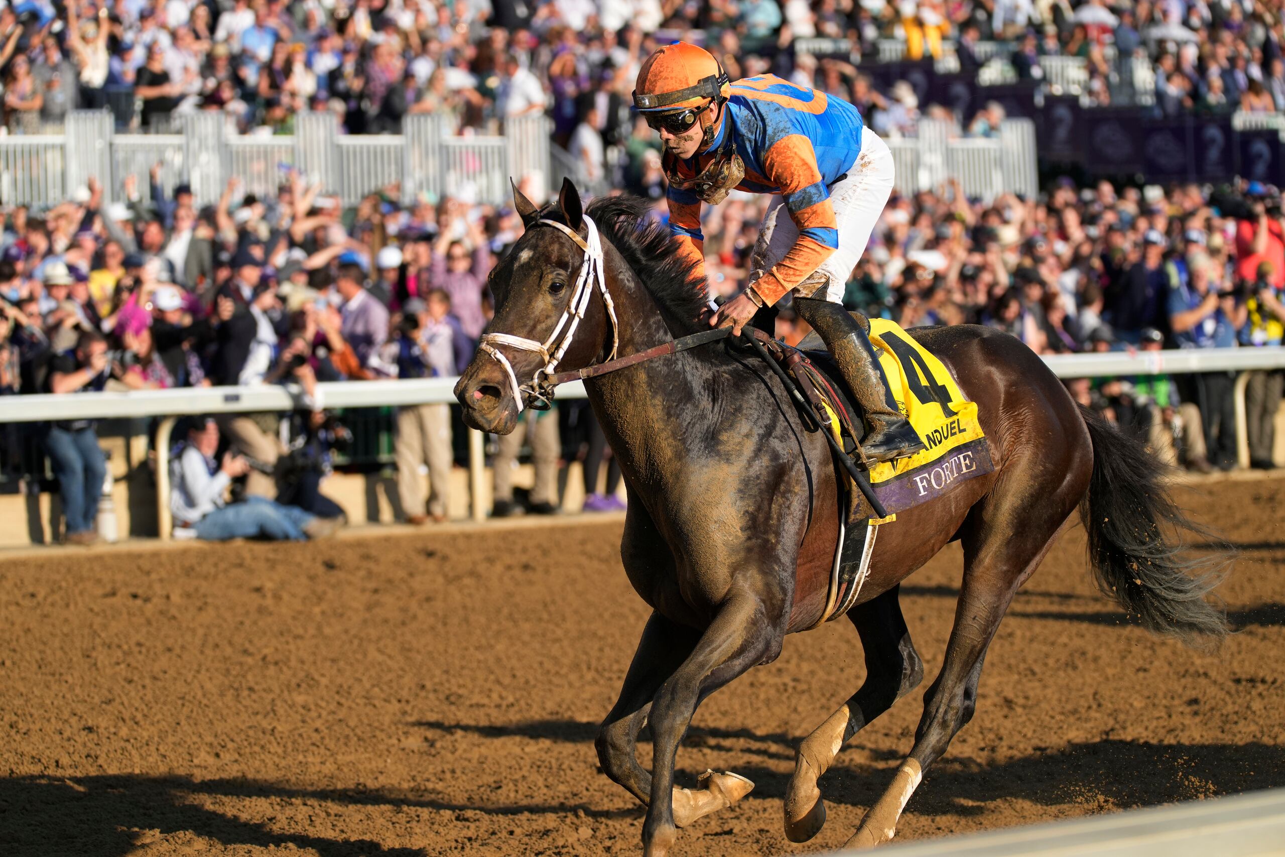 Forte, con Irad Ortiz, es el favorito para ganar el Belmont Stakes.